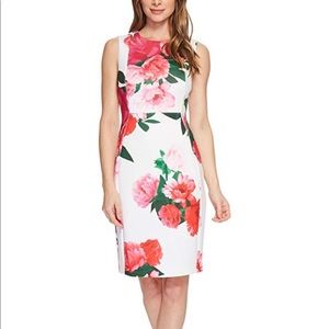 Calvin Klein White Floral Sheath Dress